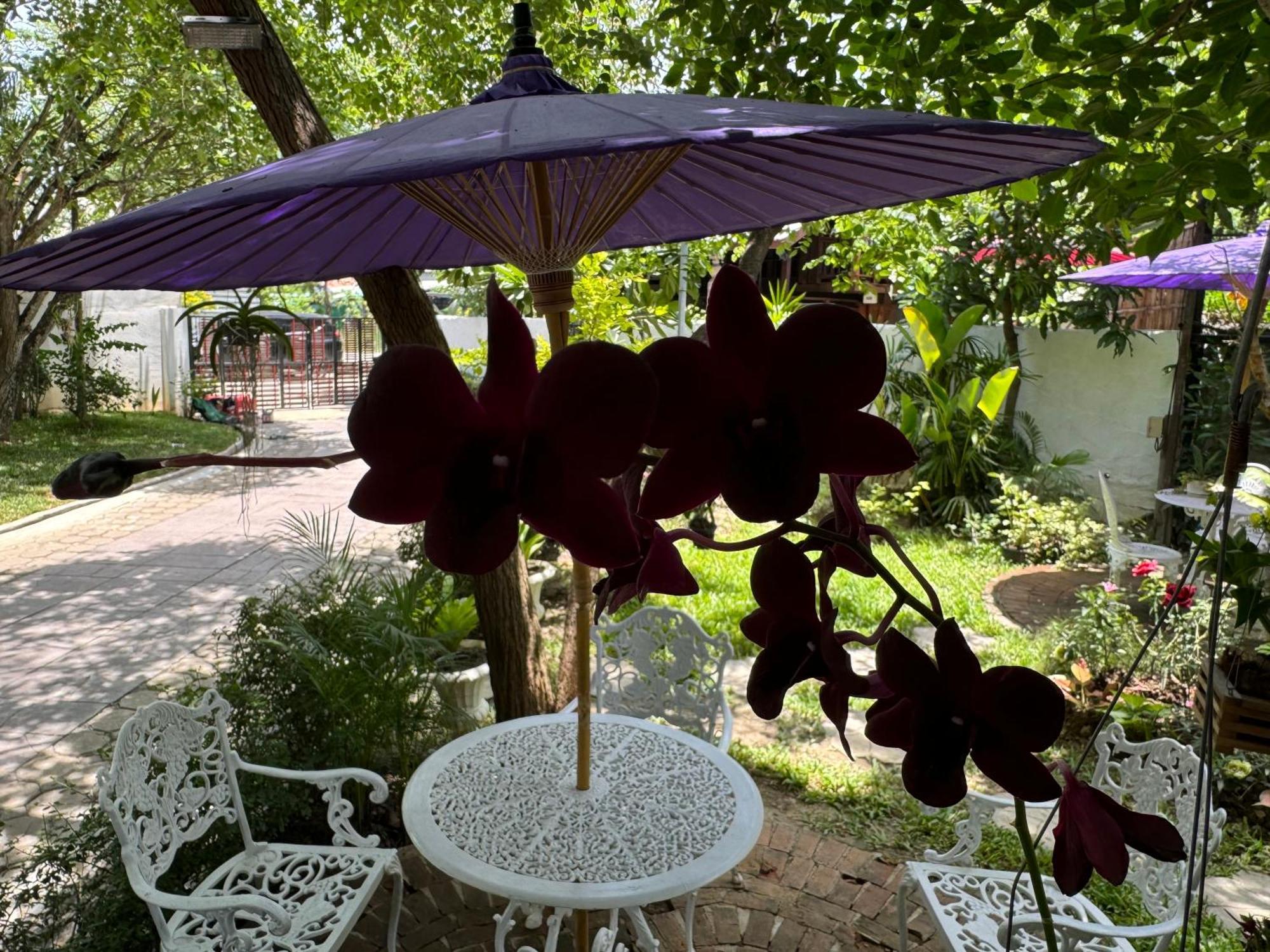 Chiang Mai Las Orquideas Resort Luaran gambar