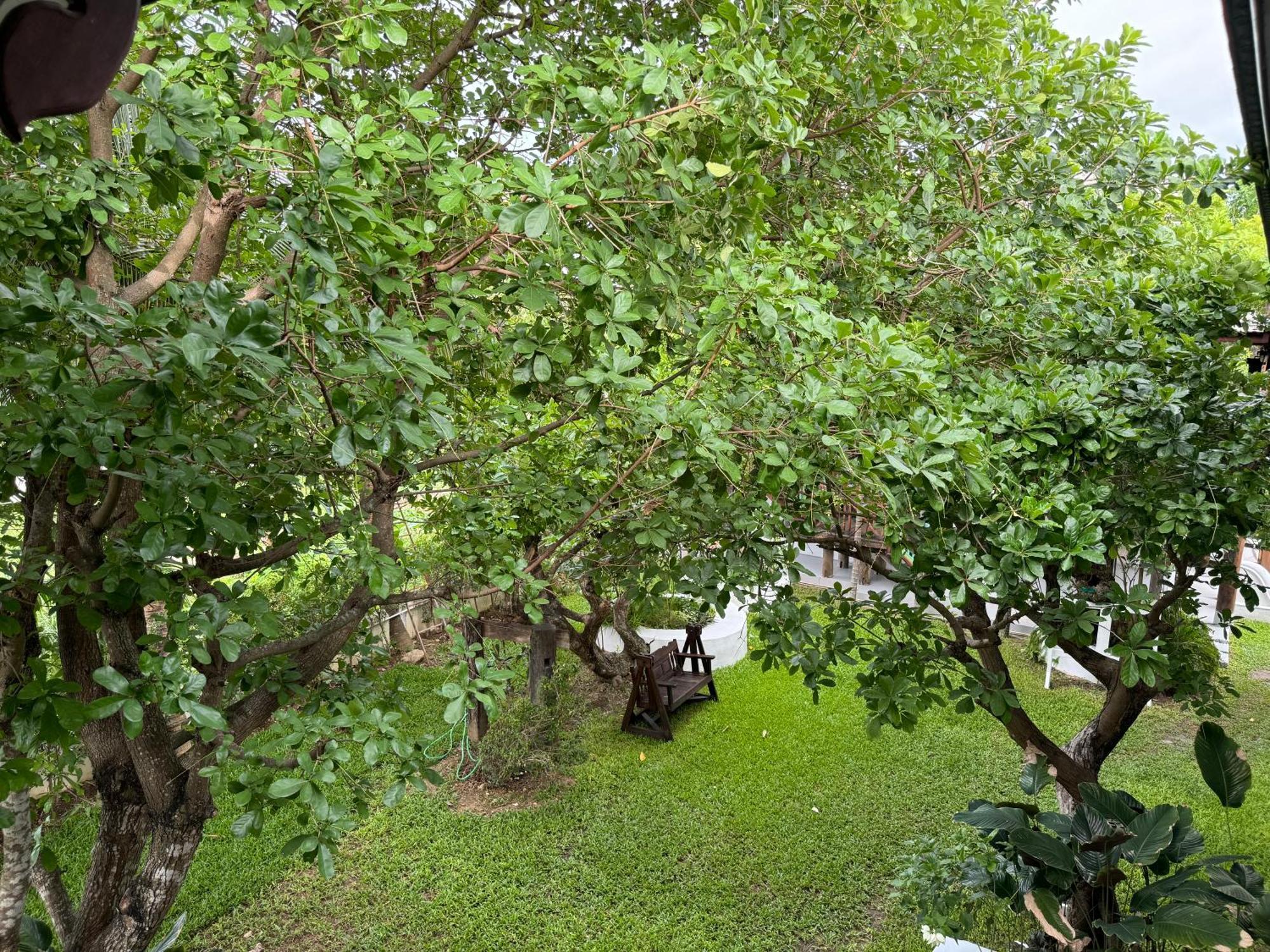 Chiang Mai Las Orquideas Resort Luaran gambar