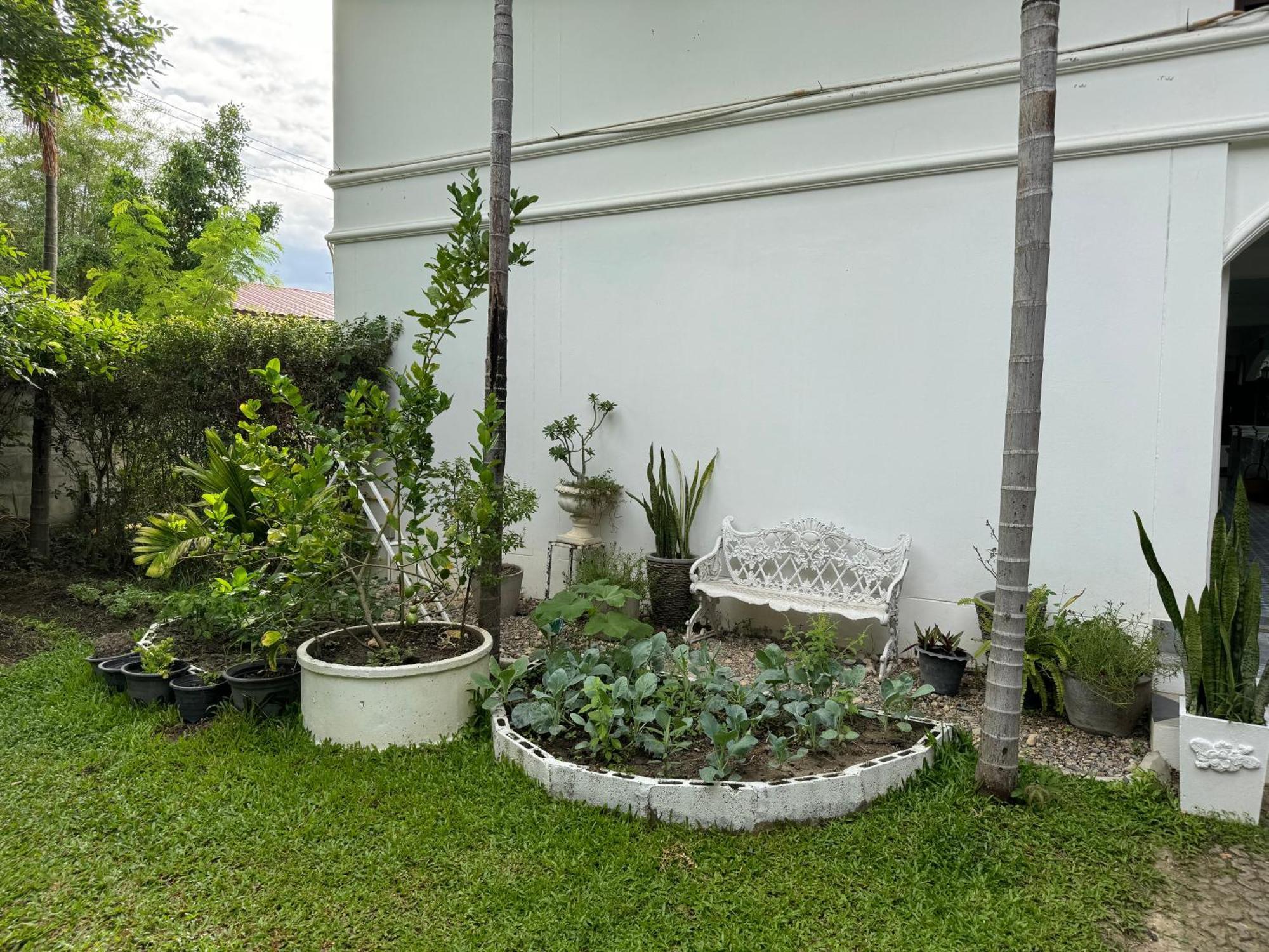 Chiang Mai Las Orquideas Resort Luaran gambar